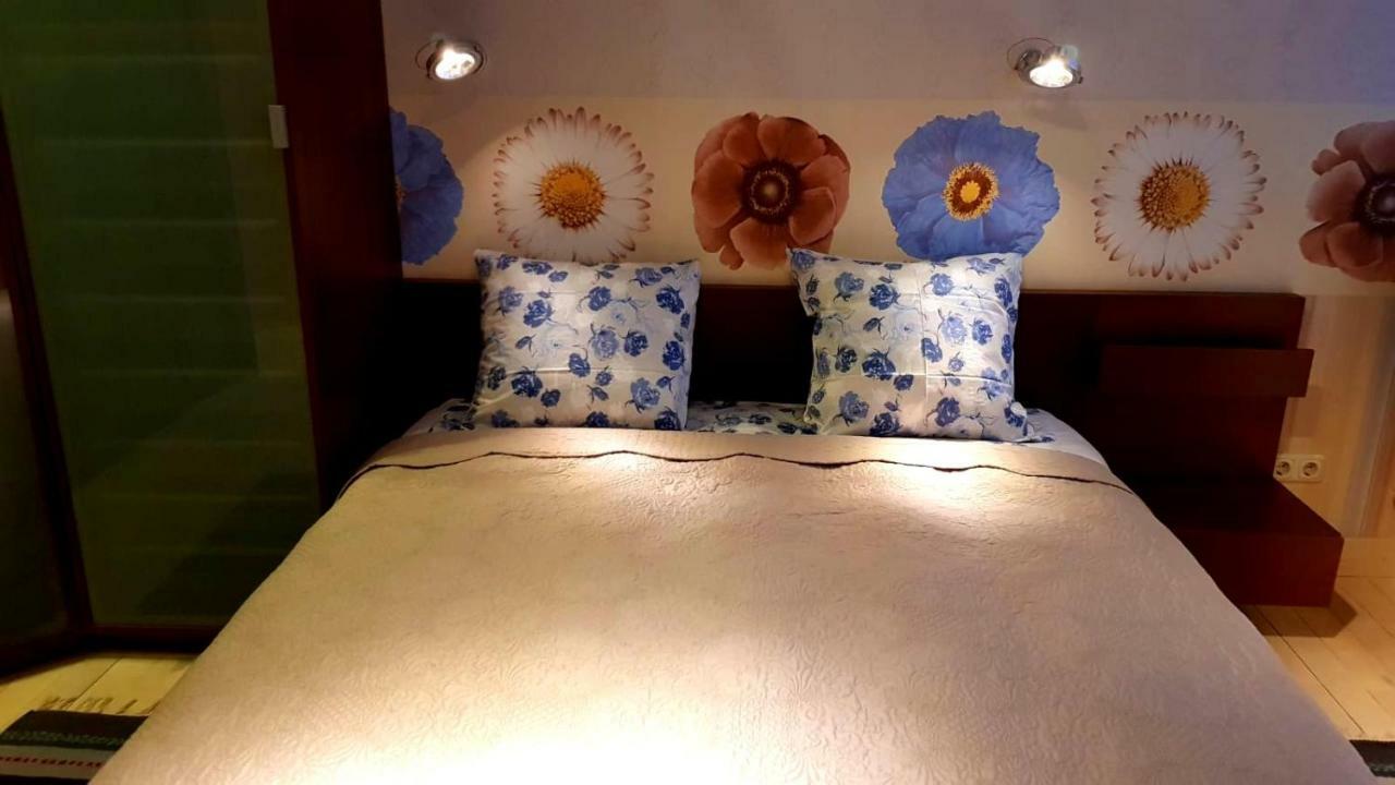 Fuksija House Apartment เดากัฟปิลส์ ภายนอก รูปภาพ